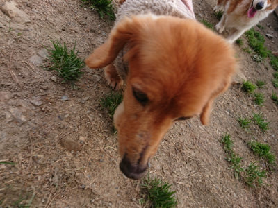 f:id:roukenhome-ann:20190414053419j:plain