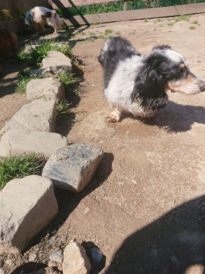 f:id:roukenhome-ann:20190414053452j:plain