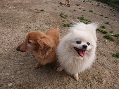 f:id:roukenhome-ann:20190414053620j:plain