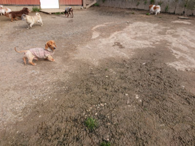 f:id:roukenhome-ann:20190414053702j:plain