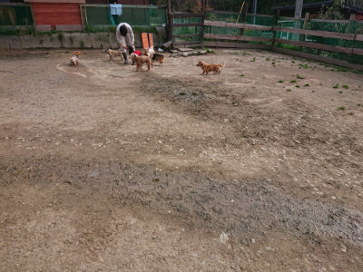 f:id:roukenhome-ann:20190414064417j:plain