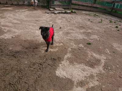 f:id:roukenhome-ann:20190414064446j:plain