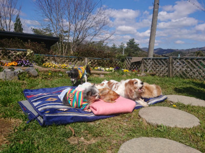 f:id:roukenhome-ann:20190414064535j:plain
