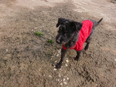 f:id:roukenhome-ann:20190414064541j:plain