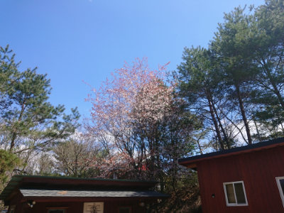 f:id:roukenhome-ann:20190414064547j:plain