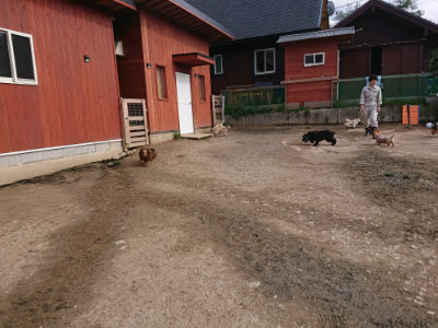f:id:roukenhome-ann:20190414064621j:plain