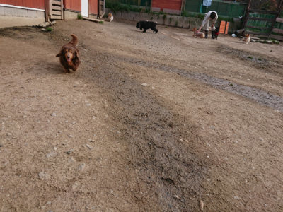 f:id:roukenhome-ann:20190414064748j:plain