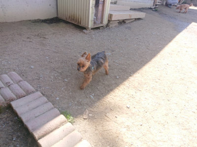 f:id:roukenhome-ann:20190414064823j:plain