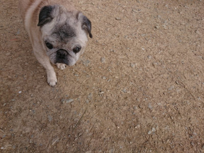 f:id:roukenhome-ann:20190414064829j:plain