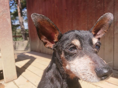 f:id:roukenhome-ann:20190414064845j:plain