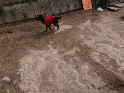 f:id:roukenhome-ann:20190414070008j:plain