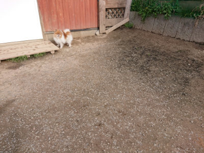 f:id:roukenhome-ann:20190414070013j:plain