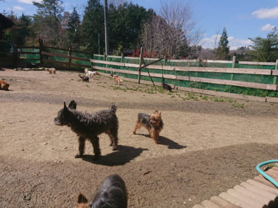 f:id:roukenhome-ann:20190414070028j:plain