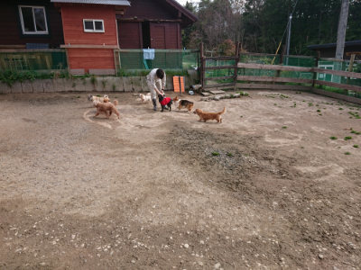 f:id:roukenhome-ann:20190414070039j:plain