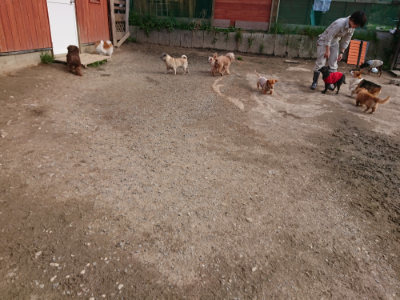 f:id:roukenhome-ann:20190414070055j:plain
