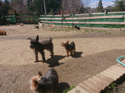 f:id:roukenhome-ann:20190414070120j:plain