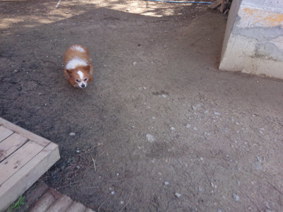 f:id:roukenhome-ann:20190414070141j:plain