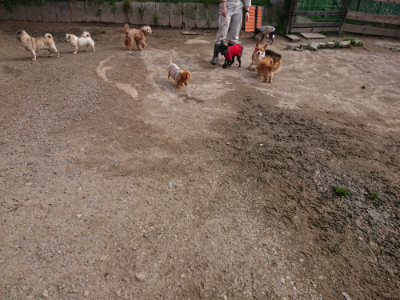 f:id:roukenhome-ann:20190414070146j:plain