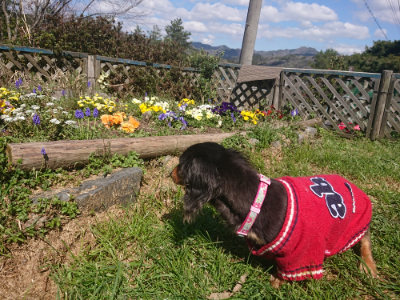 f:id:roukenhome-ann:20190414070208j:plain