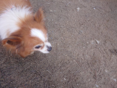 f:id:roukenhome-ann:20190414070219j:plain