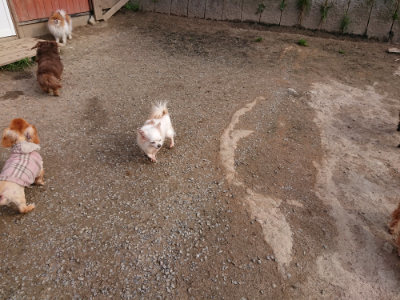f:id:roukenhome-ann:20190414070247j:plain