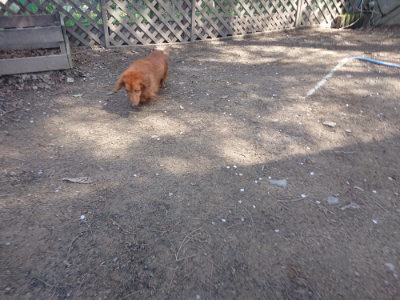 f:id:roukenhome-ann:20190414070348j:plain