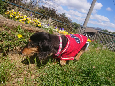 f:id:roukenhome-ann:20190414070403j:plain