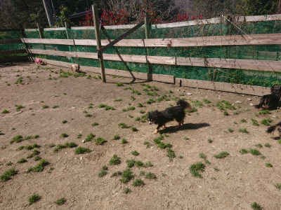f:id:roukenhome-ann:20190414071117j:plain