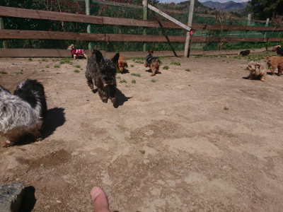 f:id:roukenhome-ann:20190414071132j:plain