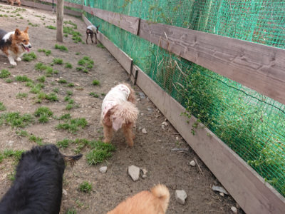 f:id:roukenhome-ann:20190414071143j:plain