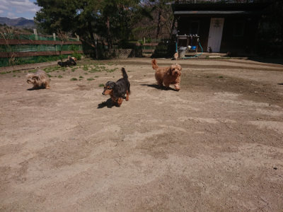 f:id:roukenhome-ann:20190414071216j:plain