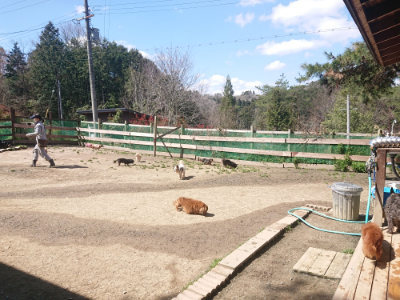 f:id:roukenhome-ann:20190414071222j:plain