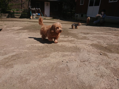 f:id:roukenhome-ann:20190414071228j:plain
