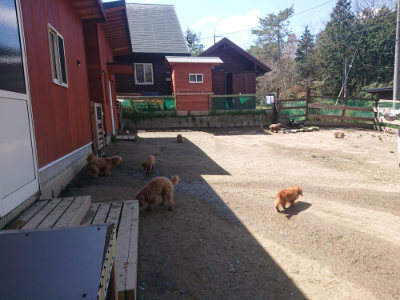 f:id:roukenhome-ann:20190414071300j:plain