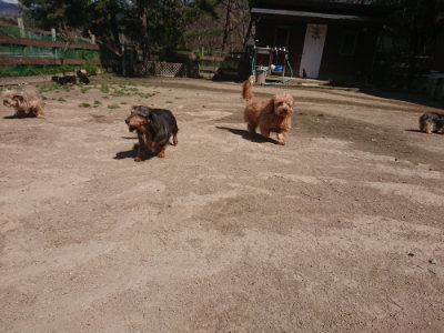 f:id:roukenhome-ann:20190414071310j:plain