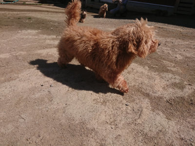 f:id:roukenhome-ann:20190414071316j:plain