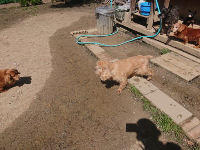 f:id:roukenhome-ann:20190414071336j:plain