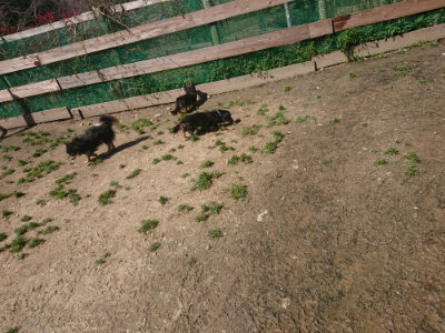 f:id:roukenhome-ann:20190414071353j:plain