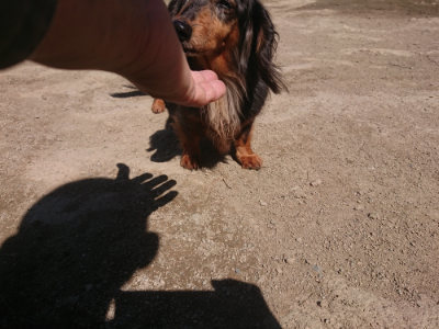 f:id:roukenhome-ann:20190414071409j:plain