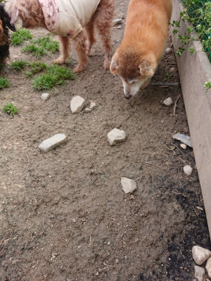 f:id:roukenhome-ann:20190414071416j:plain