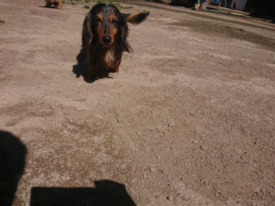 f:id:roukenhome-ann:20190414071426j:plain