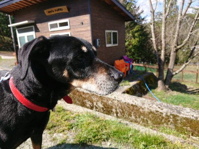 f:id:roukenhome-ann:20190414071437j:plain