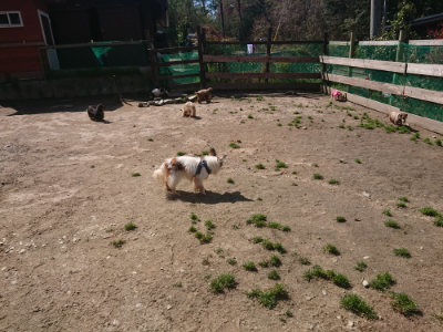 f:id:roukenhome-ann:20190414071449j:plain