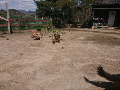 f:id:roukenhome-ann:20190414071506j:plain