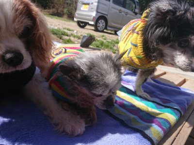 f:id:roukenhome-ann:20190414072400j:plain