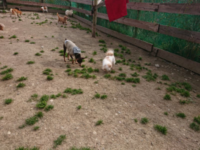 f:id:roukenhome-ann:20190414193853j:plain