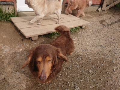 f:id:roukenhome-ann:20190414193954j:plain