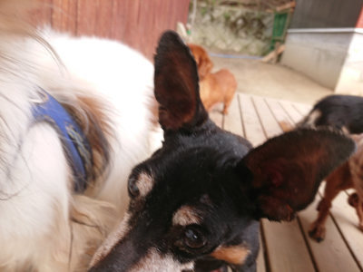 f:id:roukenhome-ann:20190414194045j:plain