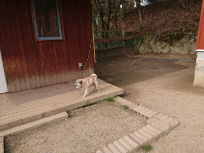 f:id:roukenhome-ann:20190414194126j:plain