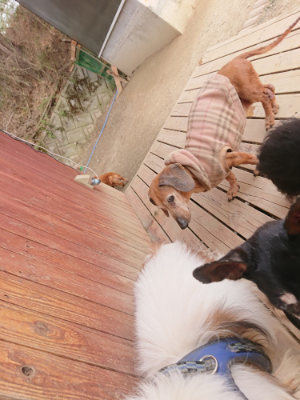 f:id:roukenhome-ann:20190414194138j:plain